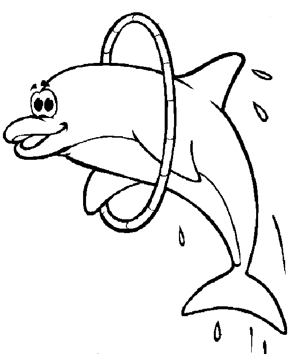 desene de colorat delfin
